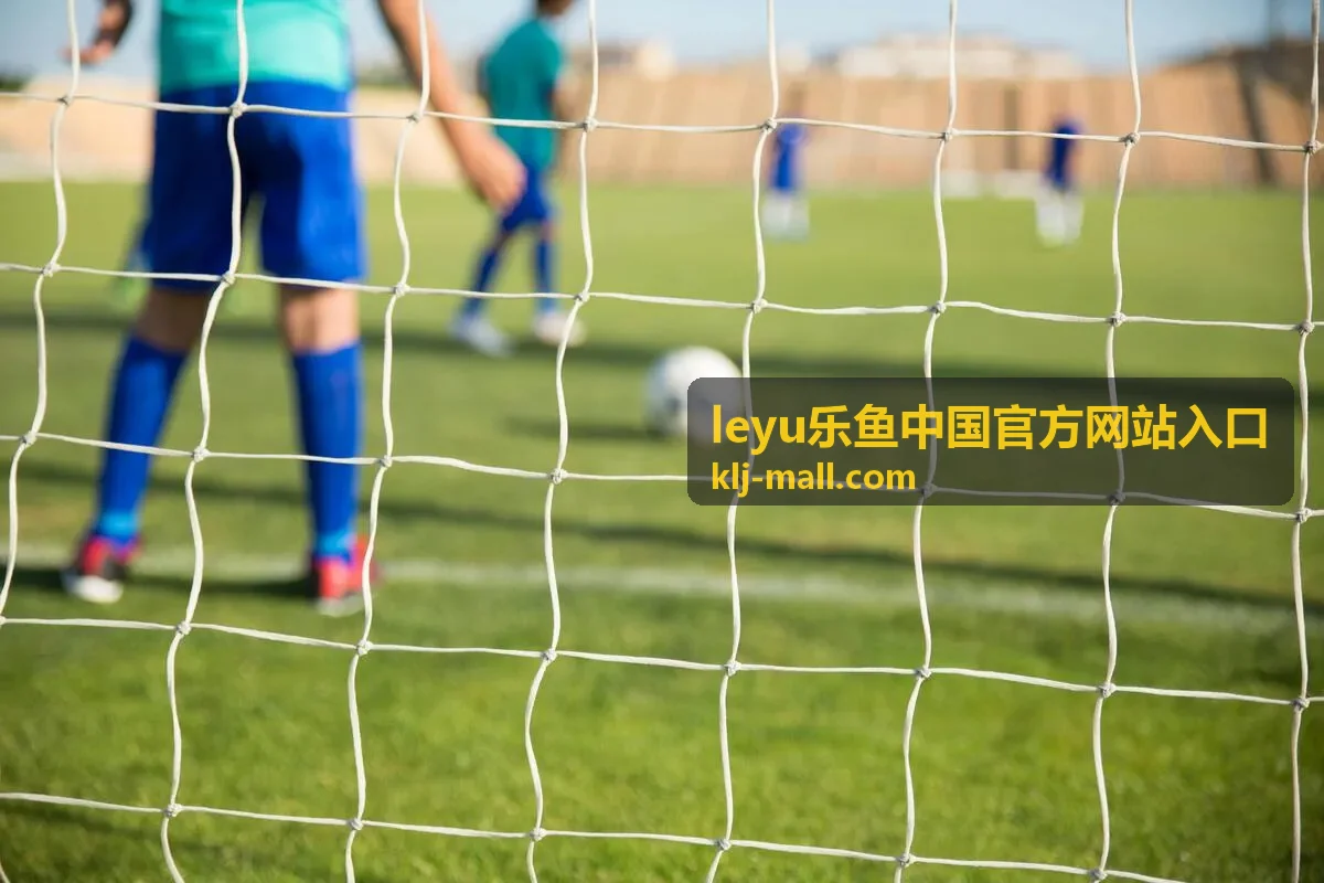 leyu乐鱼中国官方网站入口功能面板与常用模块示意